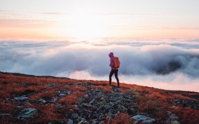 Best Tips for Experiencing Autumn Colors in Muonio
