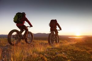 Harriniva Hotels Safaris Bicycles Fatbikes Summer