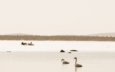 Spring in Muonio – A Season of Light, Nature, and Adventure