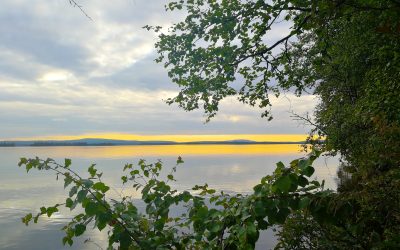 The Midnight Sun Has Arrived – Muonio Bathes in Endless Light